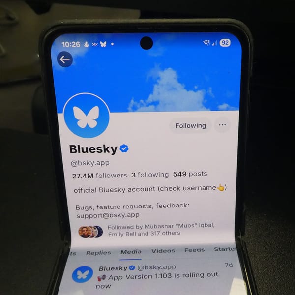 Are We Missing the Bigger Picture about Bluesky?